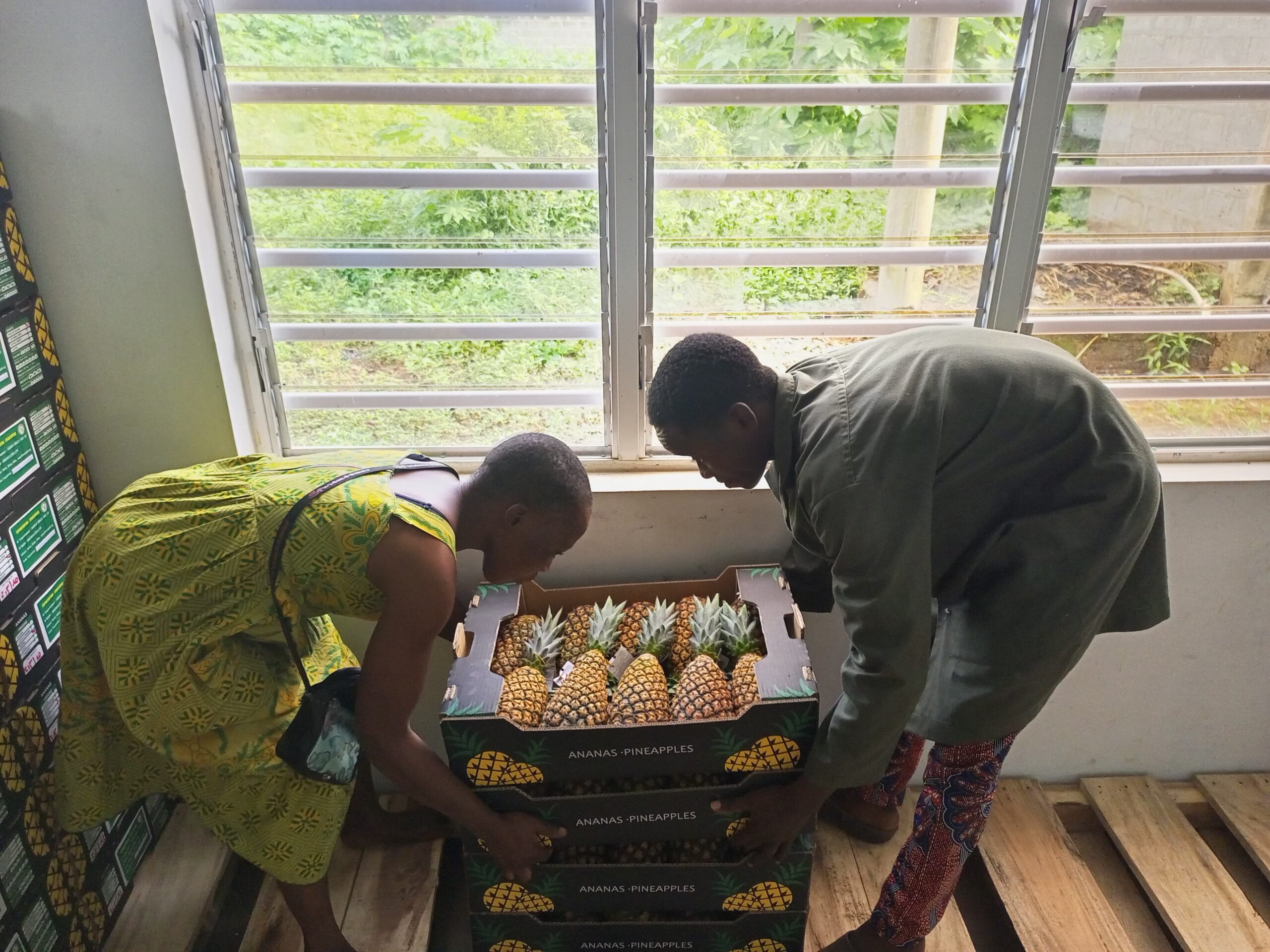 Traçabilité d'annanas